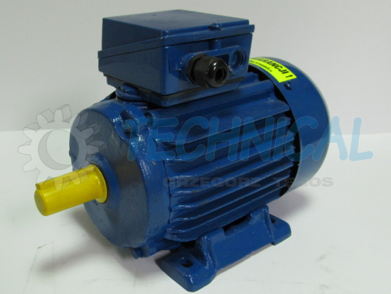 Silnik indukcyjny łapowy marki TAMEL B3