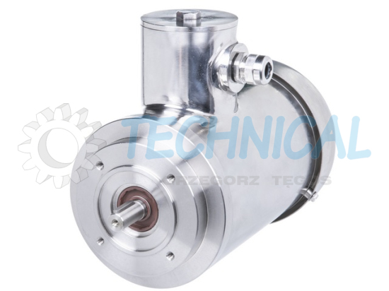 Silnik elektryczny kołnierzowy ze stali nierdzewnej