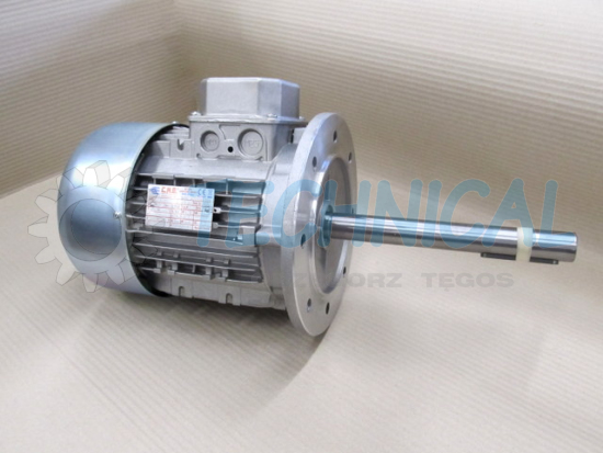 Silnik indukcyjny specjalny wykonany z wydłużonym wałem i jest to silnik elektryczny kołnierzowy specjalny