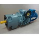 Motowariatory cierne z przekładnią walcową 