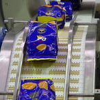 Taśmy modularne, podziałka 20mm, taśma modularna wyposażona w nakładki gumowe dla transportera wznoszącego 