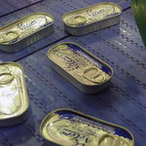 Taśma modułowe E30 ogólnego przeznaczenia 