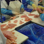 Taśmy modularne z FDA 