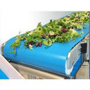 Taśmy transportujące monolityczne czyli beztkaninowe 