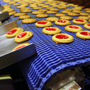 Taśmy modularne Eurobelt 