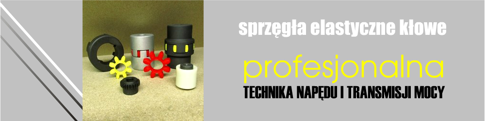 sprzęgła kłowe - sprzęgło kłowe